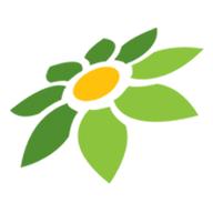 TOKOPEDIA BELANJA